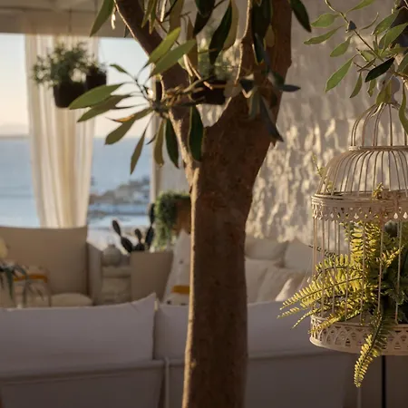 Daloli Mykonos * Mykonos Town
